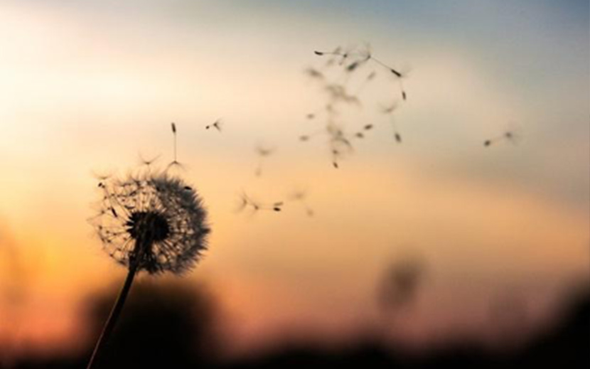 REDUCING NEGATIVITY: A SIMPLE ONE-WEEK CHALLENGE!